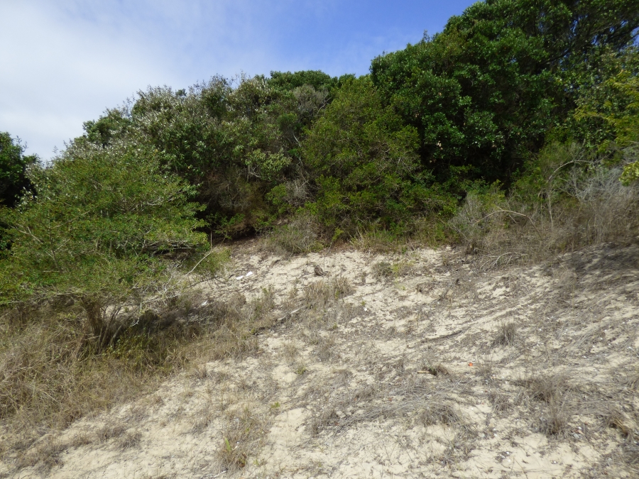 0 Bedroom Property for Sale in West Beach Eastern Cape